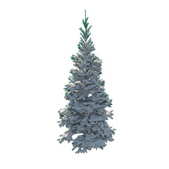 Fir (conifer) snow covered isolated transparent background 3d rendering PNG 16 bit
