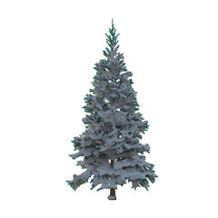 Fir (conifer) snow covered isolated transparent background 3d rendering PNG 16 bit
