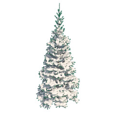 Fir (conifer) snow covered isolated transparent background 3d rendering PNG 16 bit
