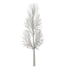 Obraz premium Tree snow covered isolated transparent background 3d rendering PNG 16 bit 
