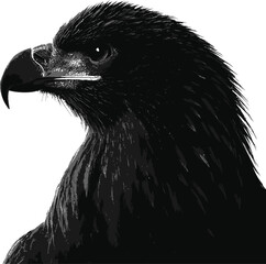 black and white eagle head illustration