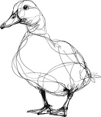 duck abstract line art illustration