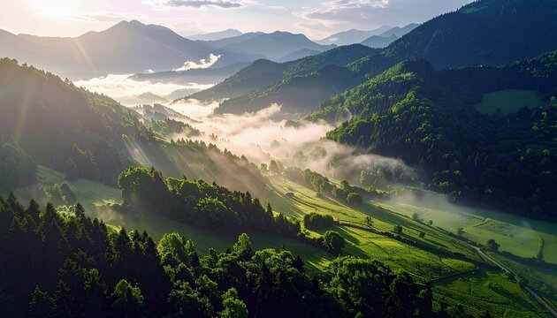 A serene mountain landscape at dawn, with soft mist filling the valleys and sunlight casting dramatic rays through the trees.