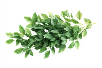 Naklejka premium Bunch of Fresh Artificial Green Leaves Isolated on White Background for Nature-Themed Designs