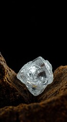 Untouched beauty of a rough gemstone nestled among organic elements, highlighting its inherent brilliance and earthy origins ,geological beauty ,organic ,unique