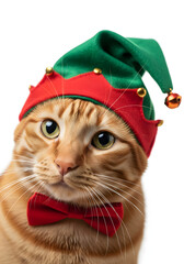 Cute Ginger Cat Wearing Green Elf Hat and Bow Tie - Adorable Christmas Pet Portrait for Festive Design, merry Christmas 