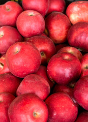 Large red apples in a box at the market.