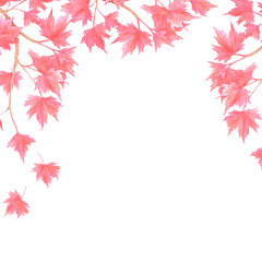 Hand drawn watercolor maple branch with red leaves frame border. Illustration of tree isolated on white background. Can be used for postcard, label, scrapbook and other printed products.