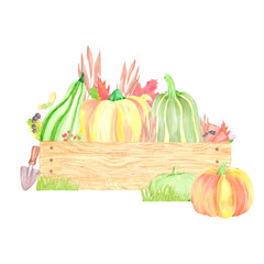 Hand drawn watercolor pumpkins berries and leaves in wooden box composition. Illustration isolated on white background. Can be used for postcard, label and other printed products.