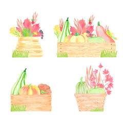 Hand drawn watercolor pumpkins berries and leaves in wooden boxes set. Illustration isolated on white background. Can be used for postcard, label and other printed products.
