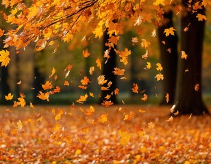 Yellow and orange leaves are flying from the tree. Autumn windy weather