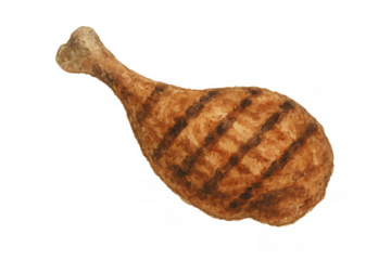 Grilled chicken drumstick watercolor painting on transparent background for menus or recipe designs