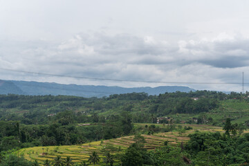 Lush Valley Vista Serene Hills  Fields Under Cloudy Sky.