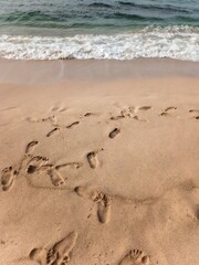 A serene tropical beach with soft sand, rocky formations, gentle blue waves, and a leaning tree by the shore. A natural coastal landscape perfect for themes of travel and nature.