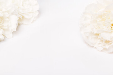 White peonies frame composition on bright background with copy space, soft light and pastel tones, floral banner for wedding stationery, spa branding, organic cosmetics and elegant minimalist design