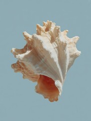A beautifully detailed seashell set against a soft blue background, perfect for marine-themed projects, coastal decor, or educational materials about ocean life and biodiversity,