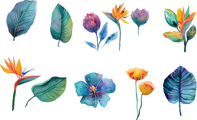 set of watercolor hand drawn flowers