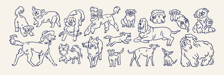 Dogs set in doodle outline style. Cute funny puppy breeds, line sketchy drawings. Happy canine animals, doggies, handdrawn sketches, scribbles. Isolated hand-drawn contoured vector illustrations © Good Studio