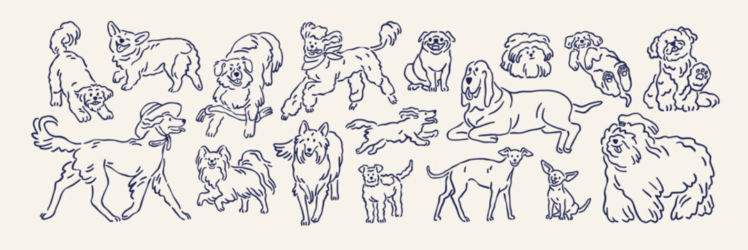 Dogs set in doodle outline style. Cute funny puppy breeds, line sketchy drawings. Happy canine animals, doggies, handdrawn sketches, scribbles. Isolated hand-drawn contoured vector illustrations