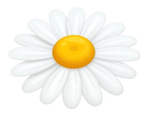 A close-up illustration of a daisy flower, with white petals and a bright yellow center. The design is simple and has a clean, smooth aesthetic