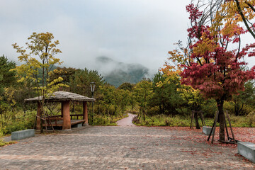 Beautiful autumn park with gazebo Gyeongju ancient capital of South Korea