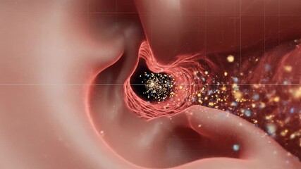 Detailed Animation of Earwax Buildup and Removal Process in Human Ear Canal.