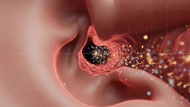 Detailed Animation of Earwax Buildup and Removal Process in Human Ear Canal.