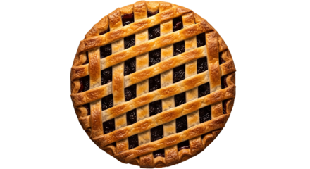 Delicious Homemade Blueberry Pie with Lattice Crust 1.