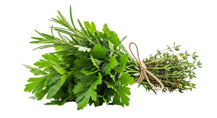 Fresh bundle of aromatic herbs tied with twine  isolated on transparent background, png 