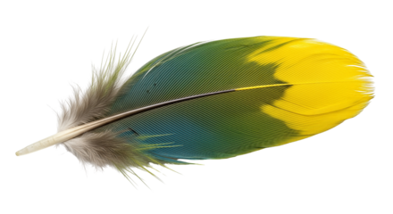 Single colorful parrot feather with green and yellow hues isolated on transparent background, png