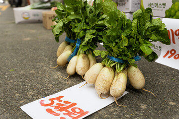 The bunch of Korean redish on the market in Seoul South Korea