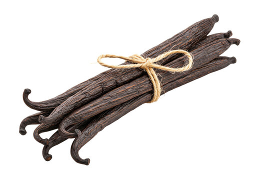 Isolated bundle of organic vanilla beans with tied twine, natural culinary ingredient