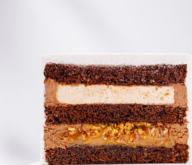 Delicious layered chocolate cake with creamy filling and nuts