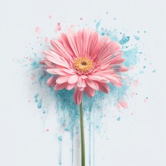Pink gerbera splash