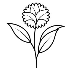  floss corymbia ficifolia fairy