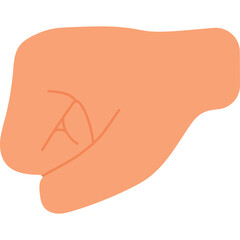 Hand fist peach skin tone peach background no hand visible no face visible no animal visible peach colored fist gesture peach skin tone isolated on white background studio shot no visible fingers