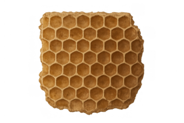 Natural honeycomb texture on transparent background, detailed hexagonal patterns creating a structured organic wax surface
