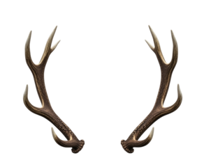 Pair of Symmetrical Deer Antlers Horns Isolated Cutout Transparent PNG