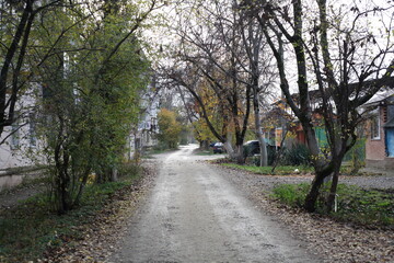 Naklejka premium road in the park