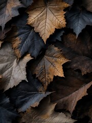 A textured arrangement of dark autumn leaves in earthy tones, showing detailed veins and soft shadows for a moody natural background