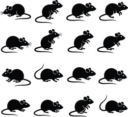 hand drawn silhouette of rats,Collection of black rodent silhouettes in various poses on clean white background.