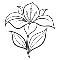 amazon lily flower line art on white background