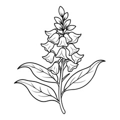 black and white flower