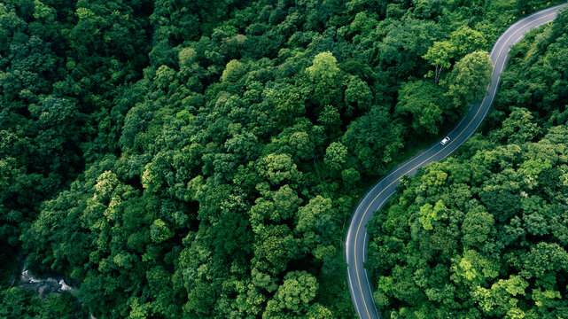 Top view road in beautiful autumn forest at sunset, trees with red and orange leaves , Beautiful landscape view from flying drone in Nature