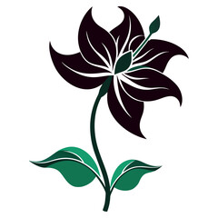 gloriosa lily flower silhouette on white background