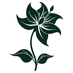 gloriosa lily flower silhouette on white background