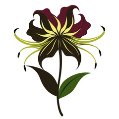 gloriosa lily flower silhouette on white background