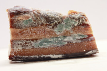 Close Up Of Spoiled Meat Product With Visible Fungus Growth. A Concept Of Rotting Food, Expiration Dates, And Health Safety.
