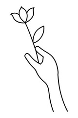 Hand holding flower line art