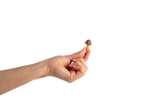 Small chocolate chip cookies in hand on transparent background - Powered by Adobe